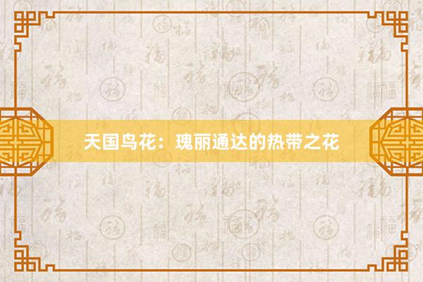 天国鸟花：瑰丽通达的热带之花