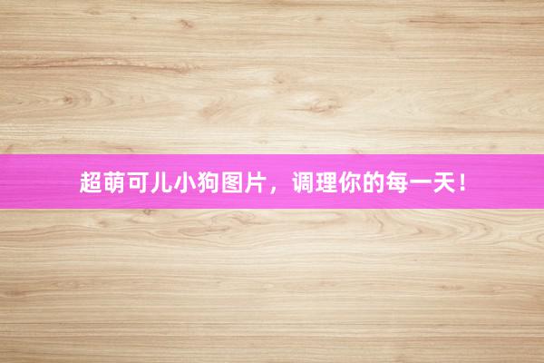 超萌可儿小狗图片，调理你的每一天！