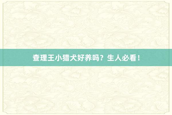 查理王小猎犬好养吗？生人必看！